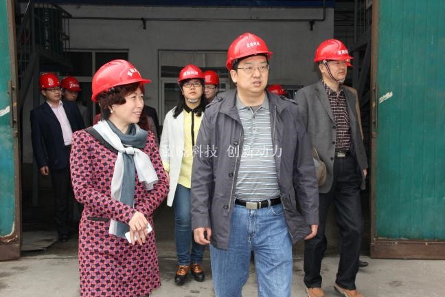 优德唯一官网科技承担“陕西省沉大科技创新项目”通过验收